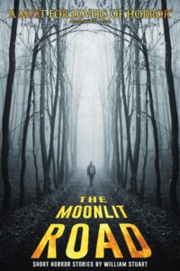 Book Cover: The Moonlit Road